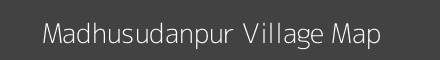Madhusudanpur village map with survey numbers in Odisha Image
