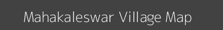 Mahakaleswar village map with survey numbers in Odisha Image
