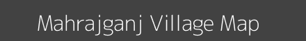 Mahrajganj village map with survey numbers in Uttar Pradesh Image