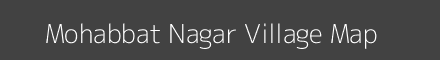 Mohabbat Nagar village map with survey numbers in Rajasthan Image