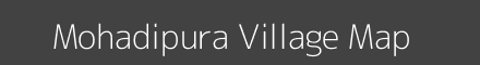 Mohadipura village map with survey numbers in Madhya Pradesh Image