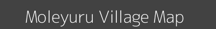 Moleyuru village map with survey numbers in Karnataka Image