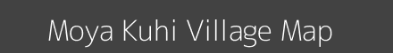 Moya Kuhi village map with survey numbers in Madhya Pradesh Image