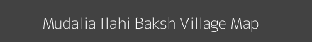 Mudalia Ilahi Baksh village map with survey numbers in Uttar Pradesh Image