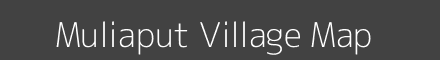 Muliaput village map with survey numbers in Odisha Image