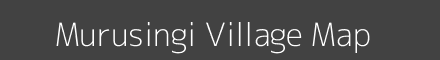 Murusingi village map with survey numbers in Odisha Image