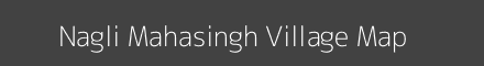 Map of Nagli Mahasingh Village in Uttar Pradesh Image