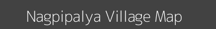 Nagpipalya village map with survey numbers in Madhya Pradesh Image