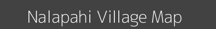 Nalapahi village map with survey numbers in Odisha Image