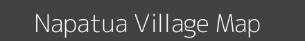 Napatua village map with survey numbers in Odisha Image