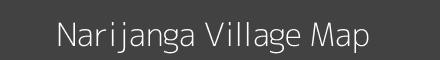 Narijanga village map with survey numbers in Odisha Image