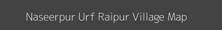 Naseerpur Urf Raipur village map with survey numbers in Uttar Pradesh Image