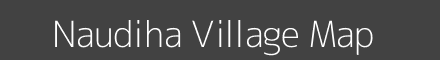 Naudiha village map with survey numbers in Jharkhand Image
