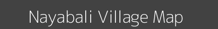 Nayabali village map with survey numbers in Odisha Image