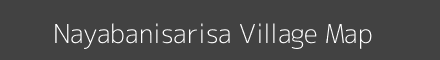 Map of Nayabanisarisa Village in Odisha Image