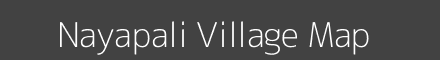 Nayapali village map with survey numbers in Odisha Image
