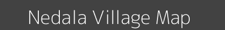 Nedala village map with survey numbers in Odisha Image