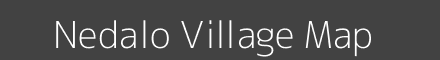 Nedalo village map with survey numbers in Odisha Image