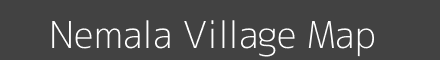 Nemala village map with survey numbers in Odisha Image