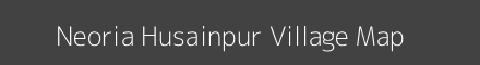 Neoria Husainpur village map with survey numbers in Uttar Pradesh Image