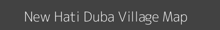 New Hati Duba village map with survey numbers in Arunachal Pradesh Image
