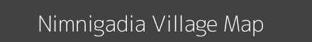 Nimnigadia village map with survey numbers in Odisha Image