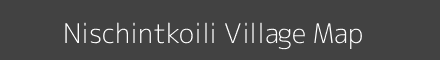 Nischintkoili village map with survey numbers in Odisha Image