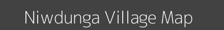 Niwdunga village map with survey numbers in Maharashtra Image