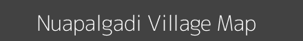 Nuapalgadi village map with survey numbers in Odisha Image