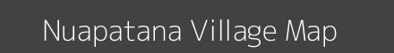 Nuapatana village map with survey numbers in Odisha Image