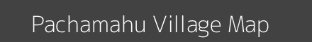 Pachamahu village map with survey numbers in Madhya Pradesh Image