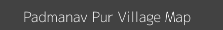 Padmanav Pur village map with survey numbers in Odisha Image
