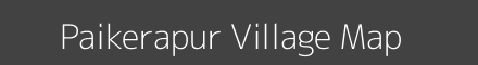 Paikerapur village map with survey numbers in Odisha Image