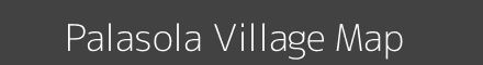 Palasola village map with survey numbers in Odisha Image