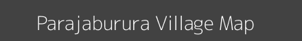 Parajaburura village map with survey numbers in Odisha Image