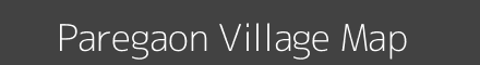 Paregaon village map with survey numbers in Maharashtra Image