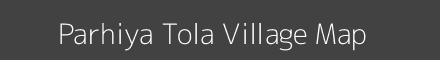 Parhiya Tola village map with survey numbers in Jharkhand Image