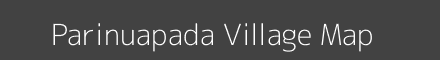 Parinuapada village map with survey numbers in Odisha Image