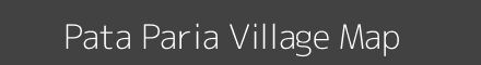 Pata Paria village map with survey numbers in Odisha Image