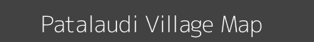 Patalaudi village map with survey numbers in Odisha Image