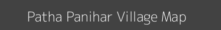 Patha Panihar village map with survey numbers in Madhya Pradesh Image