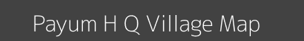 Payum H Q village map with survey numbers in Arunachal Pradesh Image