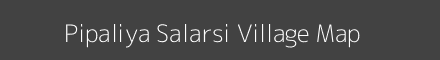 Map of Pipaliya Salarsi Village in Madhya Pradesh Image