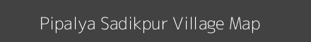 Pipalya Sadikpur village map with survey numbers in Madhya Pradesh Image