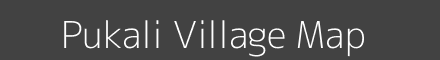 Map of Pukali Village in Odisha Image
