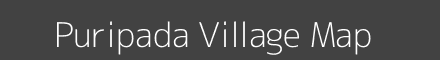 Puripada village map with survey numbers in Odisha Image