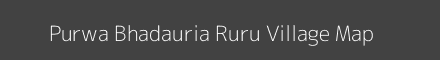 Purwa Bhadauria Ruru village map with survey numbers in Uttar Pradesh Image