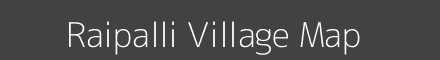 Raipalli village map with survey numbers in Maharashtra Image