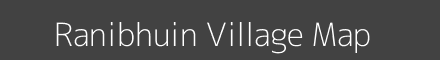 Ranibhuin village map with survey numbers in Odisha Image