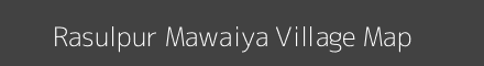 Rasulpur Mawaiya village map with survey numbers in Uttar Pradesh Image